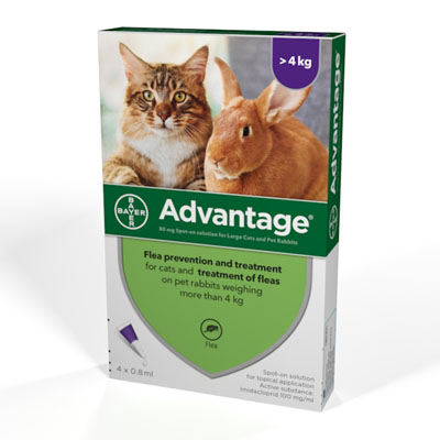 Flea Prevention Applied Above Shoulder Blades Advantage