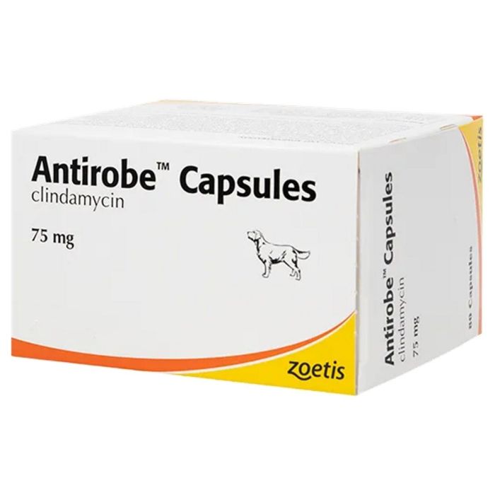 Antirobe Capsules 75mg Treatment for Infections in Dogs