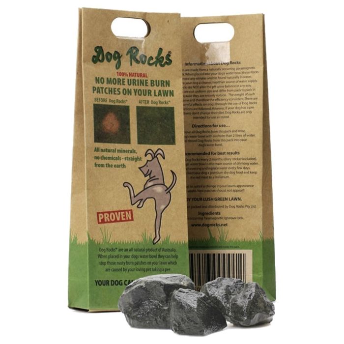 What are online dog rocks