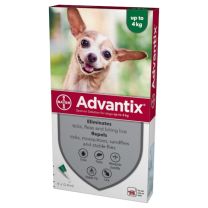 Advantix Dog 40