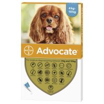 Advocate Medium Dog - 3 Pack