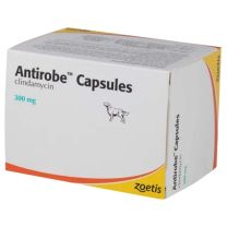 Antirobe Capsules - 300mg