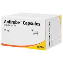 Antirobe Capsules - 75mg