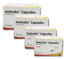 Antirobe Capsules - 25mg