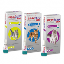 Bravecto Plus for Small Cats