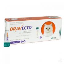 Bravecto Spot-On for Medium Cats