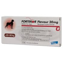 Fortekor Flavour Tablets - 20mg