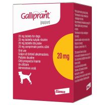 Galliprant 20mg Tablets for Dogs 