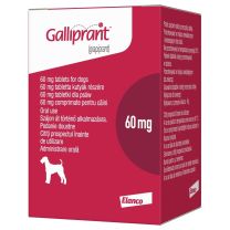 Galliprant 60mg Tablets for Dogs
