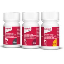 Galliprant 20mg Tablets for Dogs