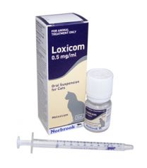 Loxicom for Cats - 15ml
