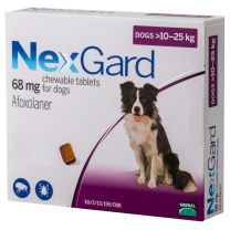 NexGard Chewable Tablets for Dogs 10-25kg - 6 Pack