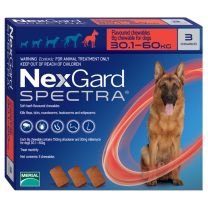 NexGard Spectra for XL Dogs (30 - 60kg) - 3 Pack