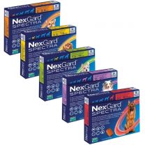 NexGard Spectra for XS Dogs (2 - 3.5kg) - 3 Pack