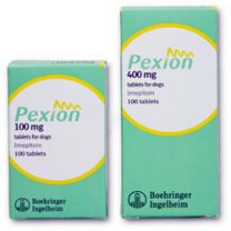 Pexion Tablets for Dogs - 100mg