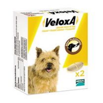 Veloxa Chewable Tablets for Dogs