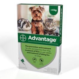 Frontline flea tick advantage cheap