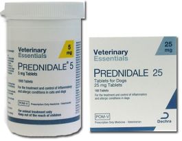 Prednisolone online uk