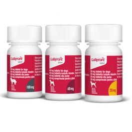 Galliprant 60mg Tablets For Dogs